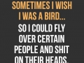 Sometimes I wish