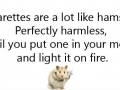 Cigarettes are like hamsters