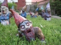 Gnombies