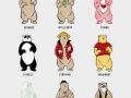 Know your bears