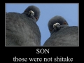 Son