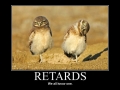 Retards