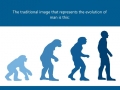 Human Evolution