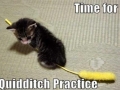 Quidditch Practice