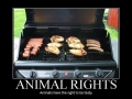 Animal rights