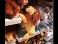 Long live the King