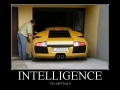 Intelligence