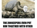 Lonesome George