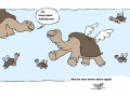 Lonesome George never again