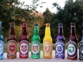 Zombie Apocalypse drinks