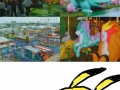Pokemon Park!