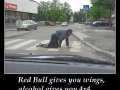 Red Bull VS. Alcohol