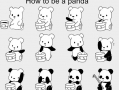 How to be a panda