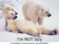 Really suits me