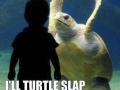 Turtle Slap
