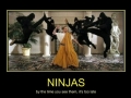 Ninjas!