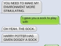 Harry Potter is a good master