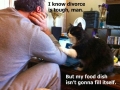 Sympathetic cat