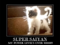 Cuteness over 9000!