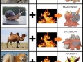 Fire Pokemon