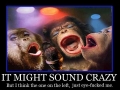 Sounds crazy