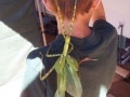 Honey, there's a kid on our bug