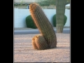 Doesn't matter, had spikes