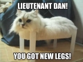 New legs