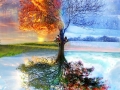 One Tree, Four Seasons