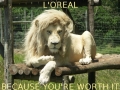 Because you're worth it