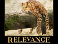 Relevance
