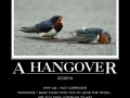 Hangovers