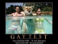 Gay Test