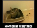 Non-violent Resistance