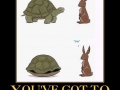 The rabbit will never win