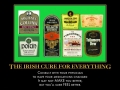The Irish Cure