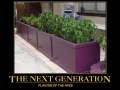 Ape planter