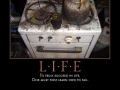 Life