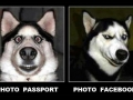 Passport and FB Photo