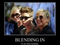 Blending in