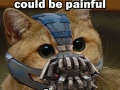 Bane Kitty