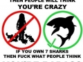 If You Own..