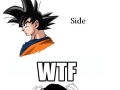 Goku's Hair