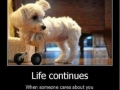 Life continues