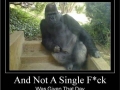 Not a single..