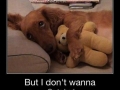 Can I stay up please?