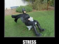 Stress