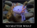 No matter what