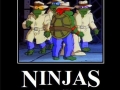 Ninjaguise
