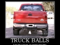 Bigger than the owner's